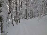 2017-12-29 V. del Morretano 150